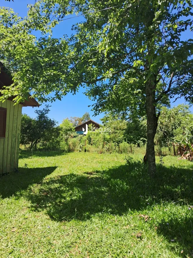 Paisagem de gramado e árvores em uma propriedade rural.