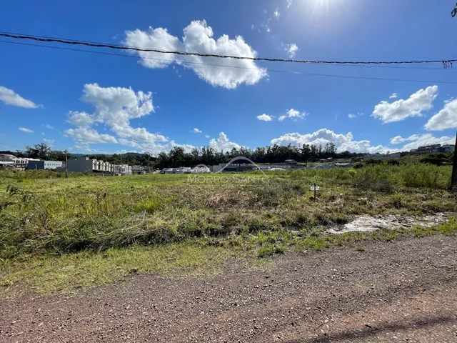 Vista externa de uma área de terreno com vegetação seca sob um céu azul com nuvens.