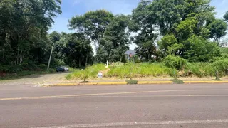 Vista da propriedade ao longo da estrada com vegetação densa ao fundo.