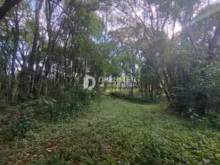 Área rural, foto 8