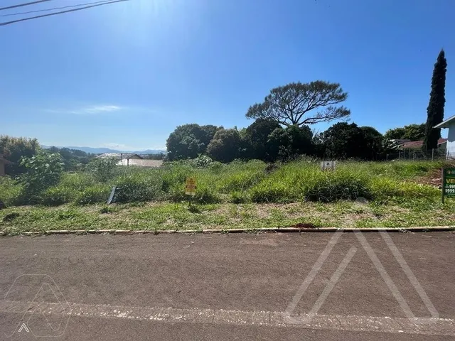 Terreno