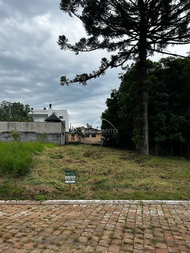 Vista externa da propriedade mostrando um muro e vegetação.