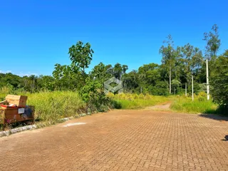 Terreno, foto 4