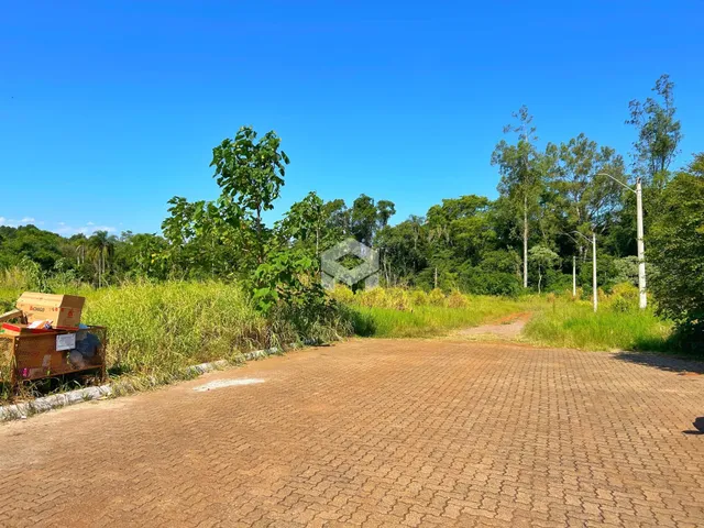Terreno, foto 4
