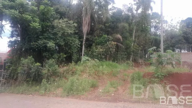 Terreno
