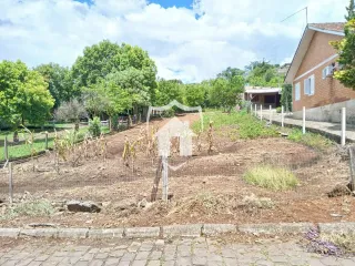 Terreno, foto 2