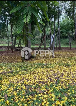 Área rural com 3 dormitórios, foto 16