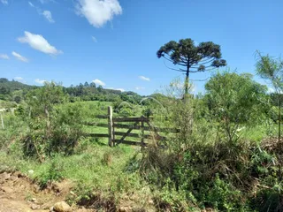 Área rural, foto 10