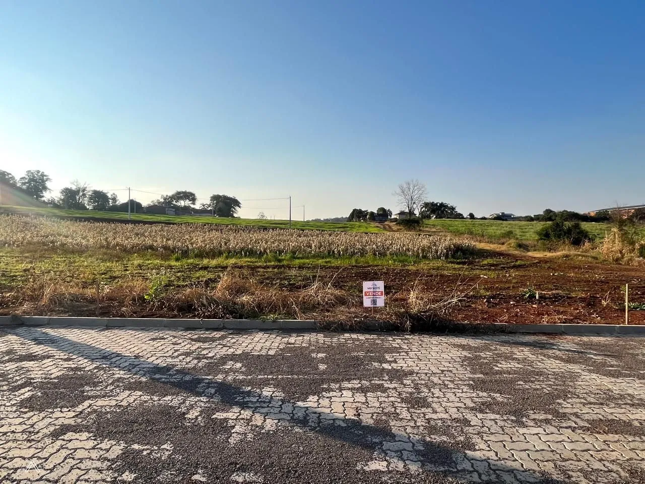 Terreno, foto 1