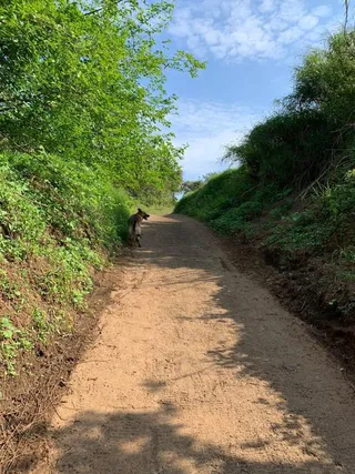 Área rural, foto 2