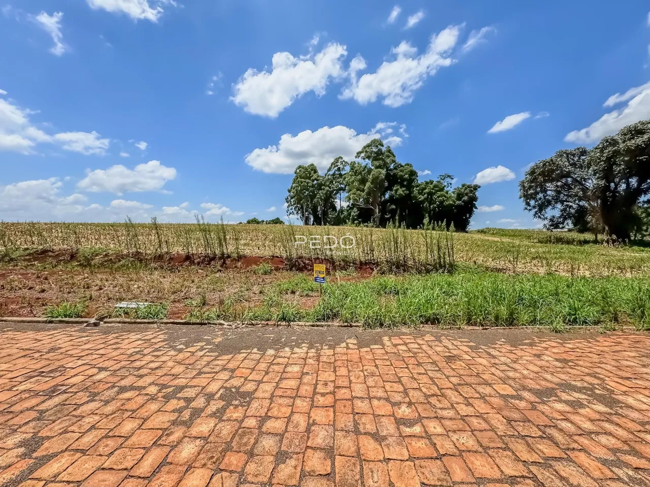 Vista da propriedade com um campo aberto e vegetação ao fundo.