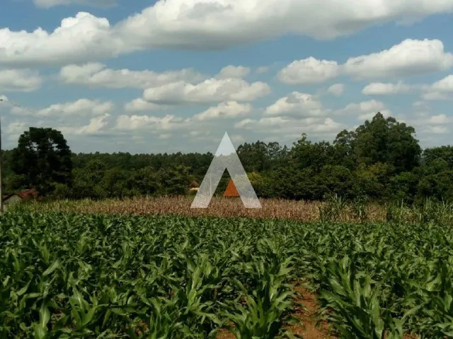 Área rural, foto 5