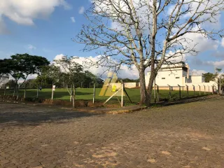 Terreno, foto 1