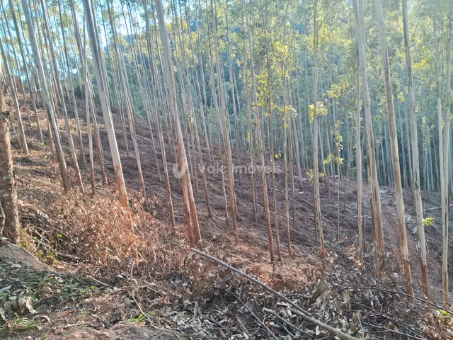 Área rural, foto 5