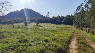 Vista de um campo verde com vegetação e colinas ao fundo.