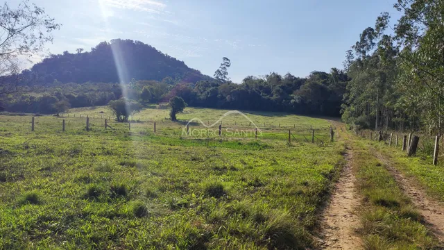 Vista de um campo verde com vegetação e colinas ao fundo.
