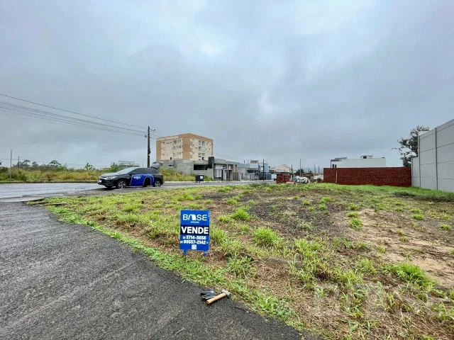 Terreno, foto 2