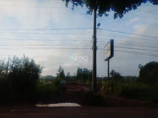Vista da estrada e vegetação ao lado de um poste de luz em Lajeado.