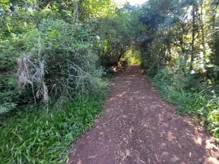 Área rural com 1 dormitório, foto 7