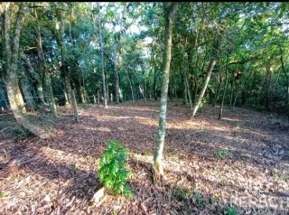 Área rural, foto 8
