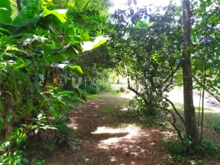 Área rural, foto 15