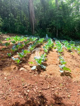 Área rural, foto 12