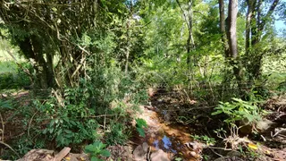 Área rural, foto 11