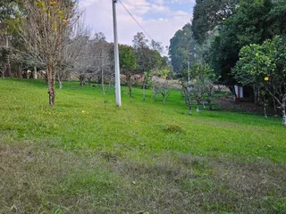 Área rural com 2 dormitórios, foto 11