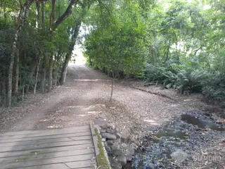 Área rural com 4 dormitórios, foto 27