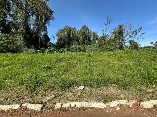 Paisagem externa com grama alta e vegetação.