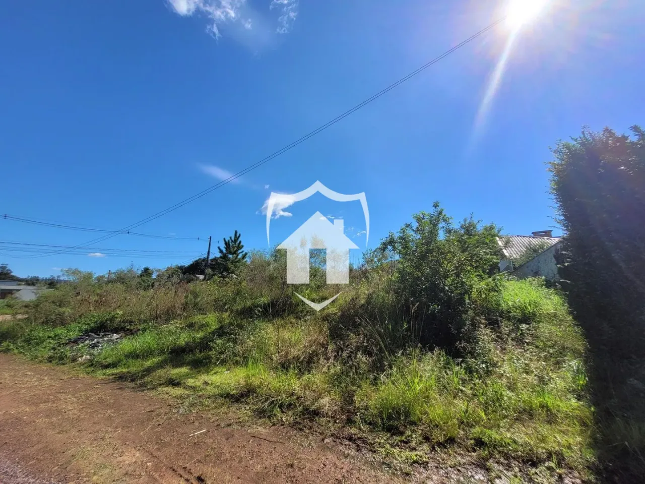 Terreno, foto 1