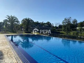 Terreno, foto 3