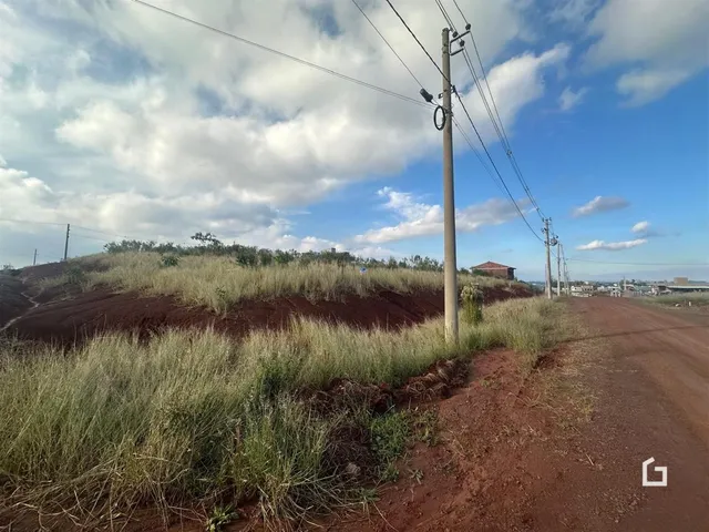 Paisagem de terra e vegetação ao longo de uma estrada rural.