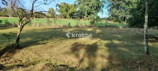 Área rural com 3 dormitórios, foto 9