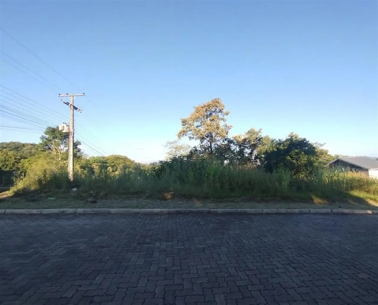 Terreno, foto 1