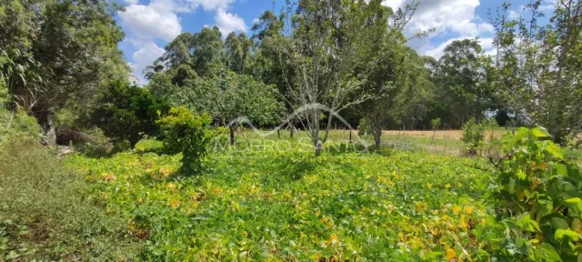 Área rural, foto 4