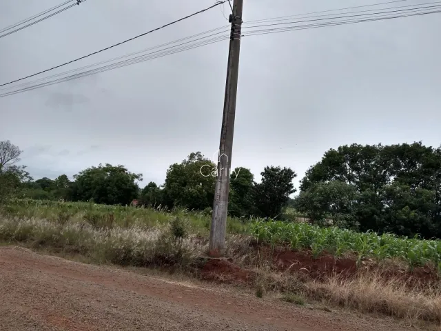 Terreno, foto 3