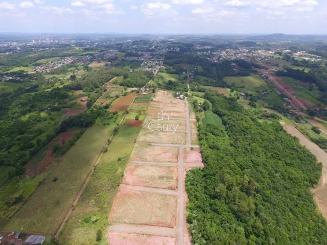 Terreno, foto 2