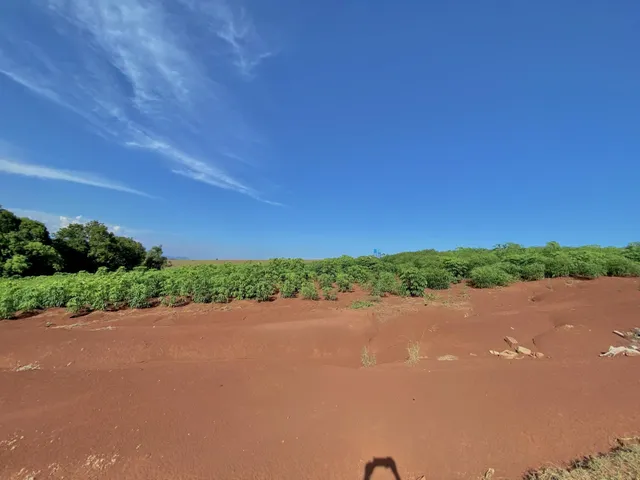Terreno