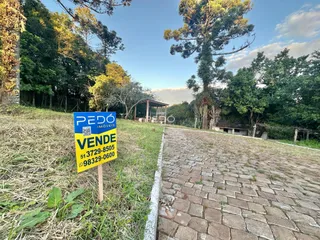 Vista externa de uma propriedade com vegetação densa e um caminho de pedras.