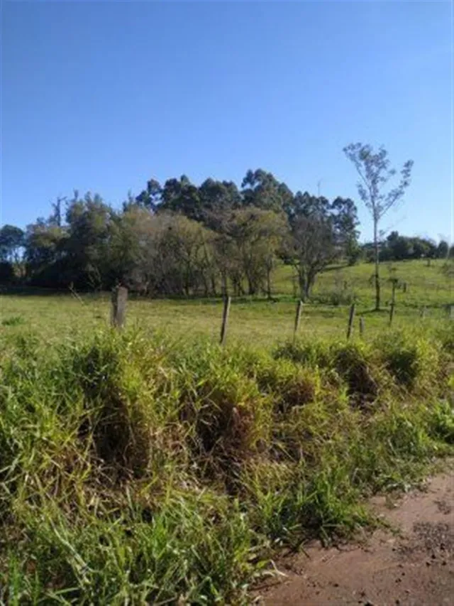 Terreno, foto 2