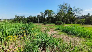 Terreno, foto 6