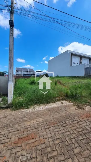 Terreno, foto 4