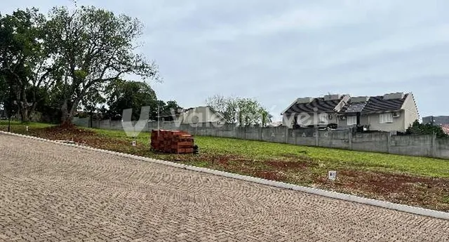 Terreno, foto 1