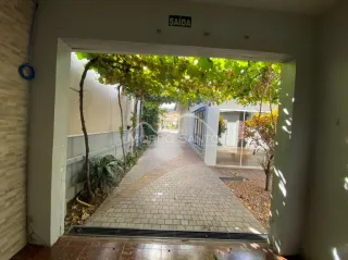 Vista de um caminho pavimentado coberto por vegetação externa.