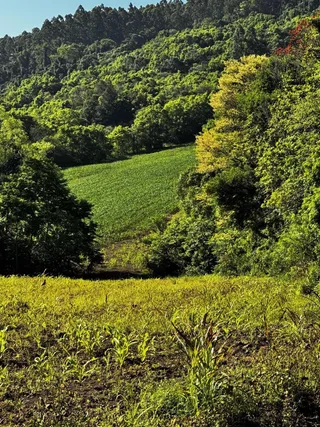 Área rural, foto 5