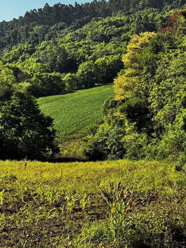 Área rural, foto 5