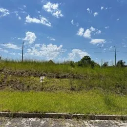 Terreno, foto 3