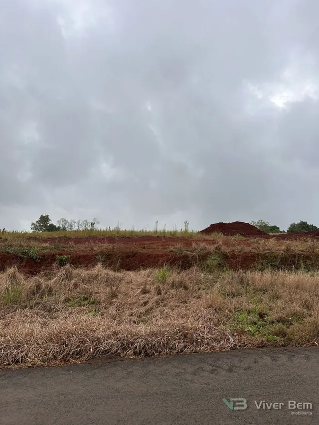Terreno