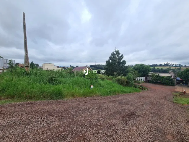 Vista externa de uma propriedade com vegetação e estrada de terra.